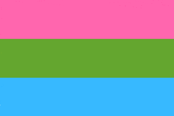 Flag of Bandeira do orgulho Polissexual