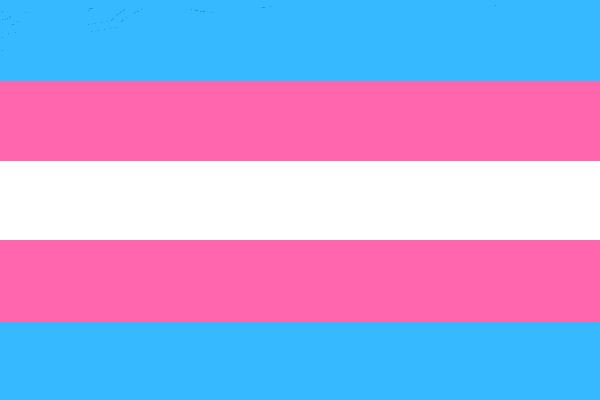 Flag of Bandeira do orgulho Trans