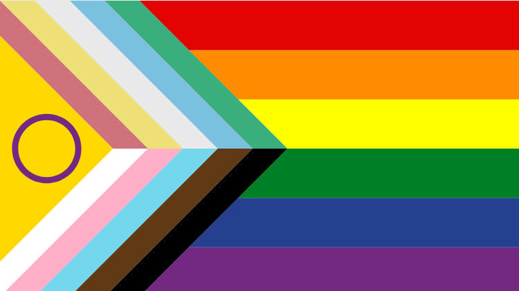 Flag of Disability-inclusive-progress-pride-flag-divided-version
