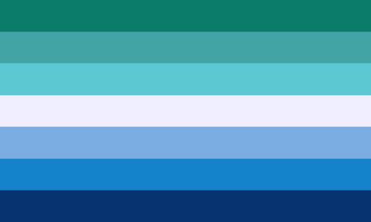Flag of Gay men flag