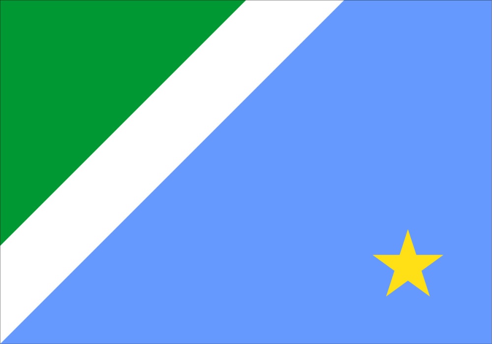 Flag of Mato Grosso do Sul
