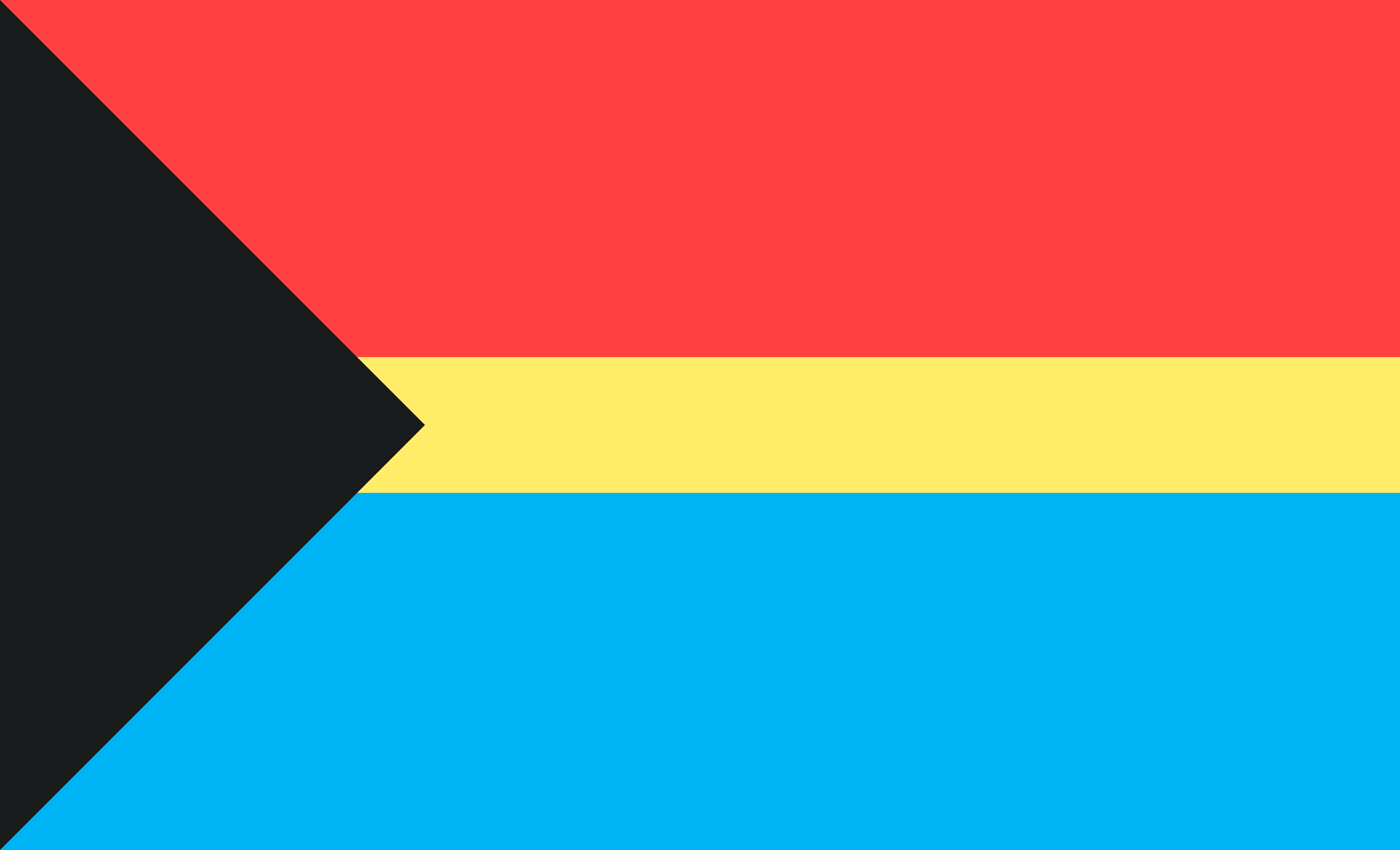 Flag of Polyamory Flag - Hannah Craig