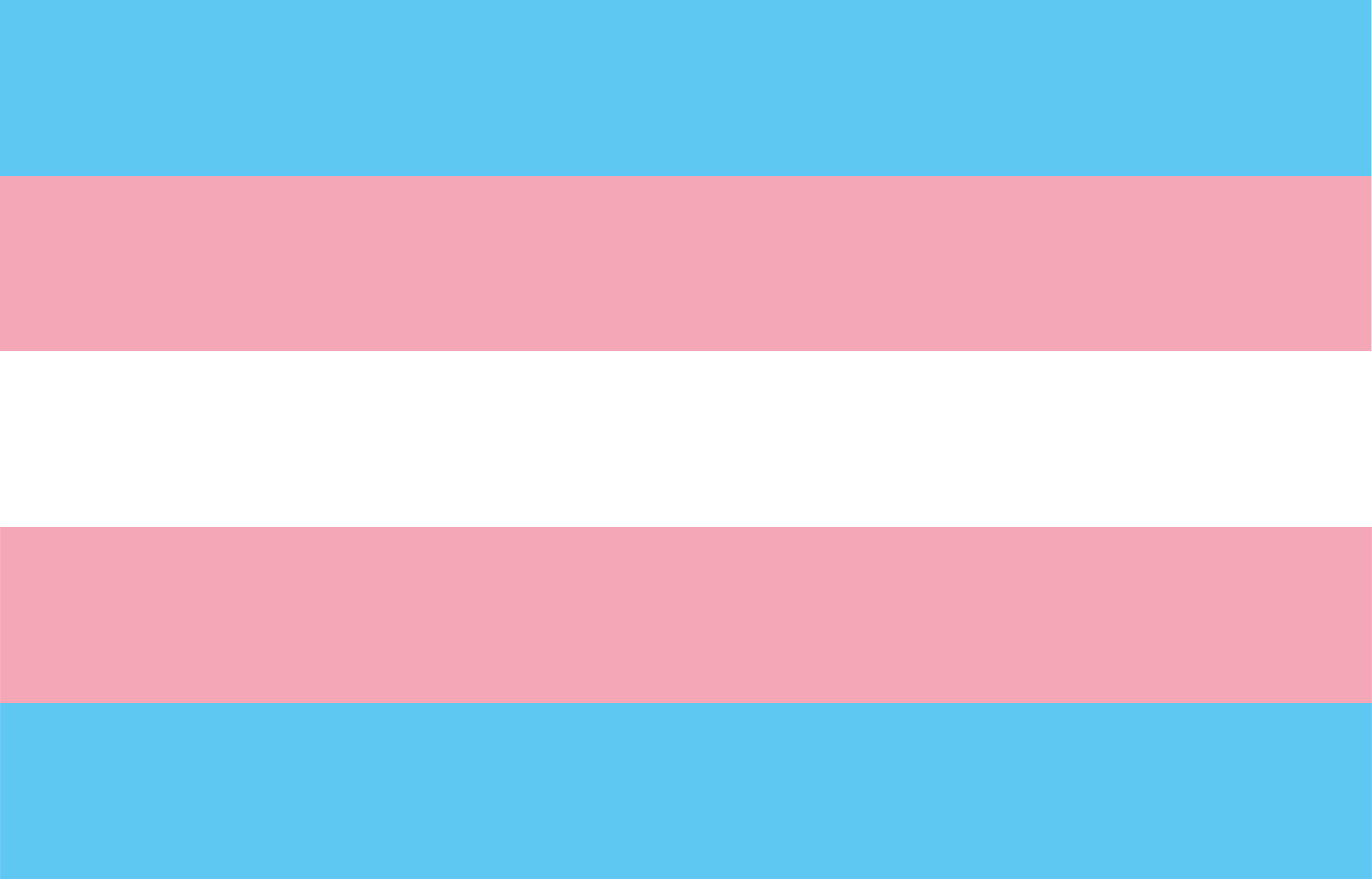 Flag of Trans harrotasunaren bandera