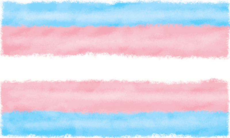 Flag of Transgender Pride Flag Art 01
