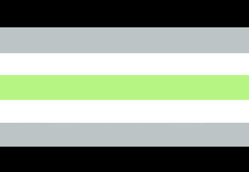 Flag of Agender flag