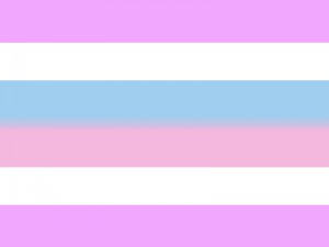 Flag of Intersex pride