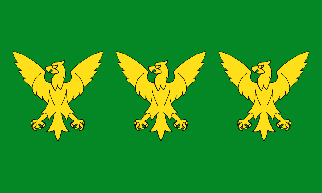 Flag of Caernarfonshire